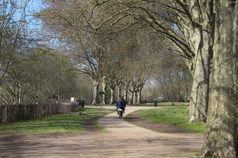 Parc aux angéliques - allée